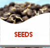 SEED_btn.png